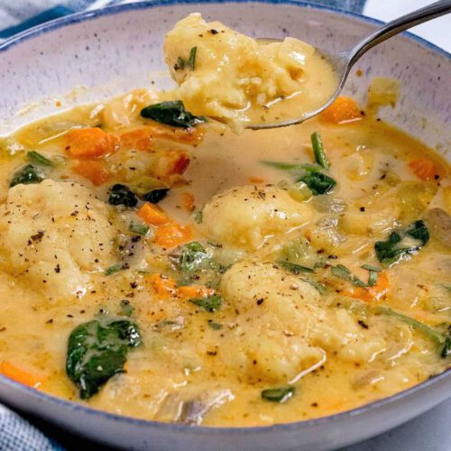 https://goodoldvegan.com/wp-content/uploads/2021/03/Vegan-Stew-With-Dumplings-500x500.jpg